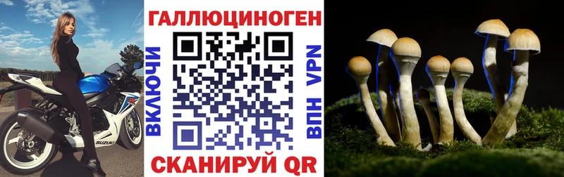 Галлюциногенные грибы мухоморы  Солигалич 